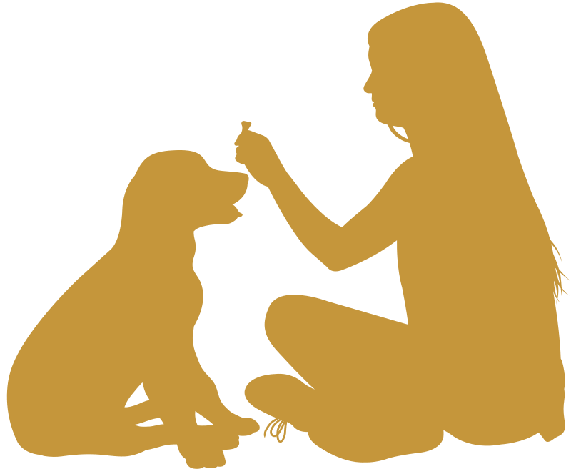 Dog Training Services